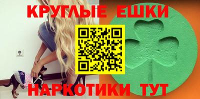 spice Канаш