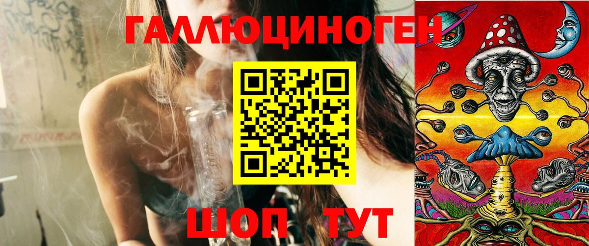 Тимашёвск  Галлюциногенные грибы Cubensis  Вход с VPN 