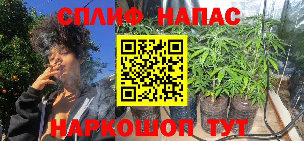 Каннабис AK-47 Тимашёвск